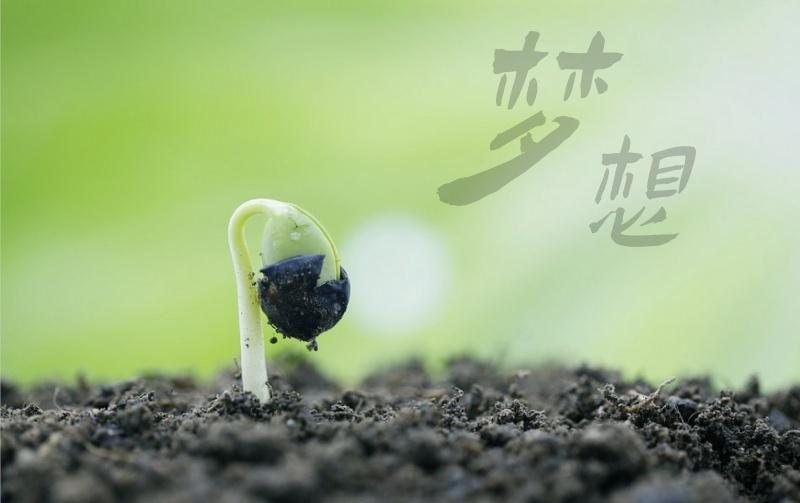 梦想苏醒