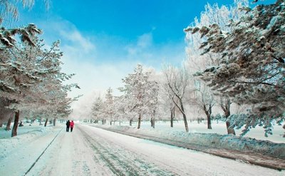 图片[1]-别样的初雪-西北文学网