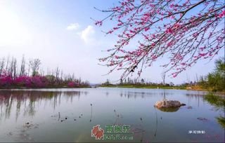 赶赴一场诗意之约