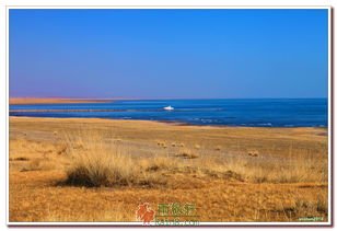 秋日的青海湖之遐想