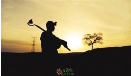 平凡人家的幸福