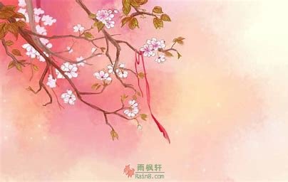 世间，有一种最美丽的感情