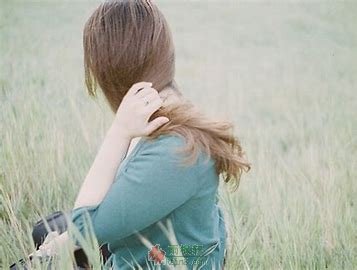 情悯